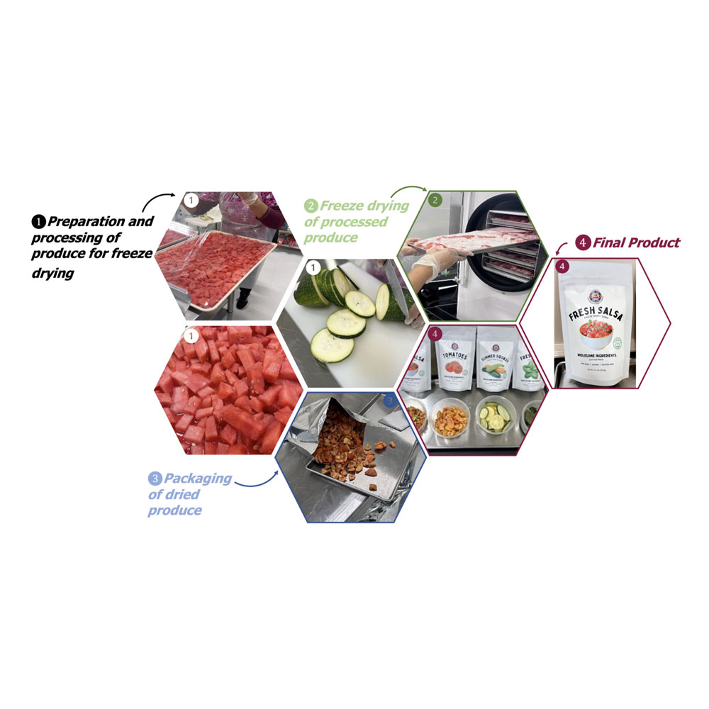 Freeze drying services image