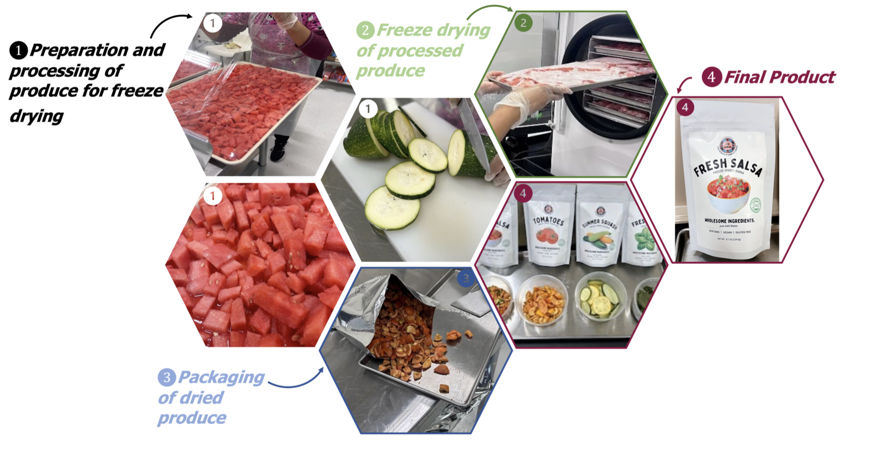 Freeze drying services image