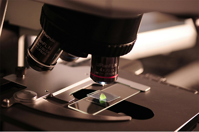 Close-up of a microscope with an eyepiece focusing on a glass slide containing a specimen.