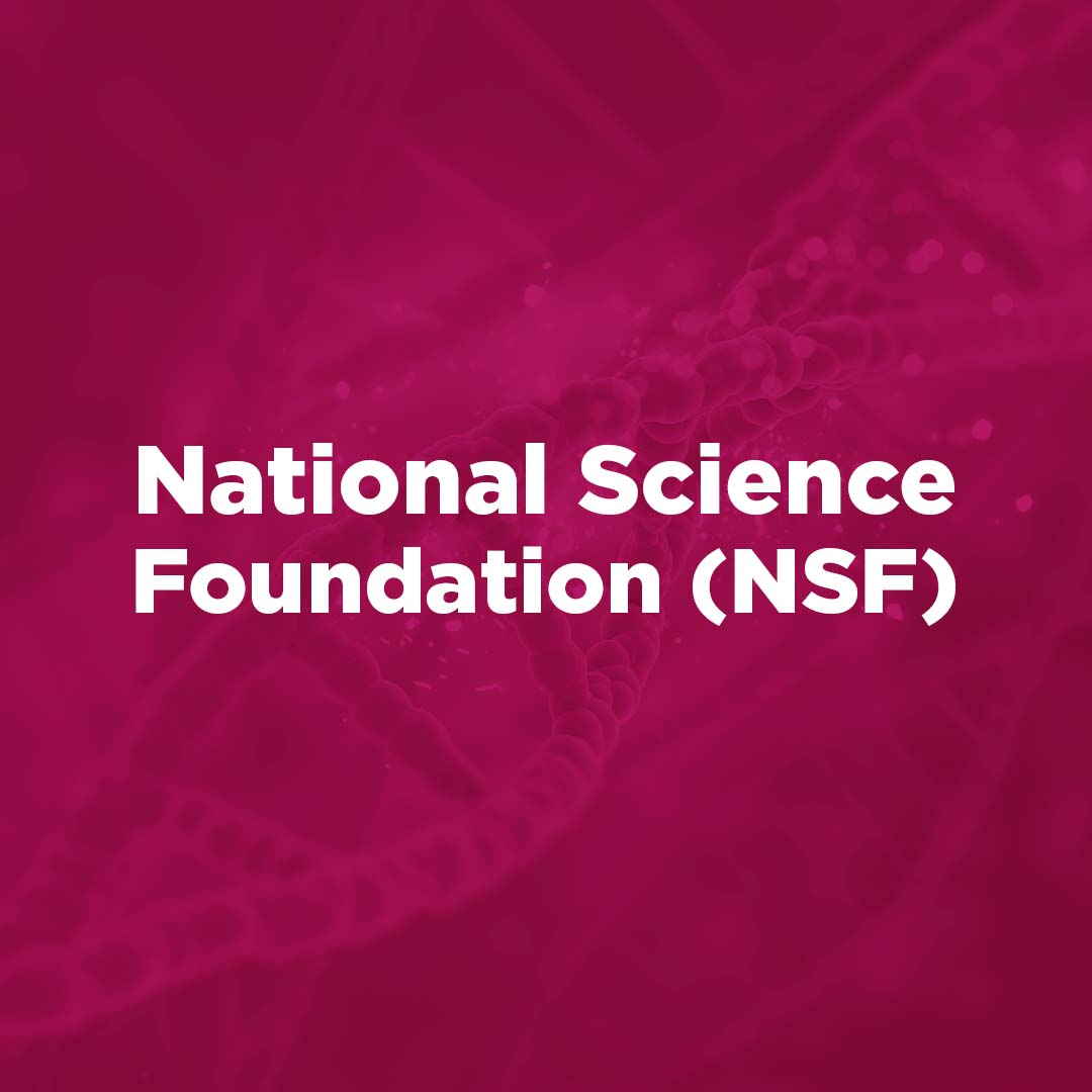 nsf