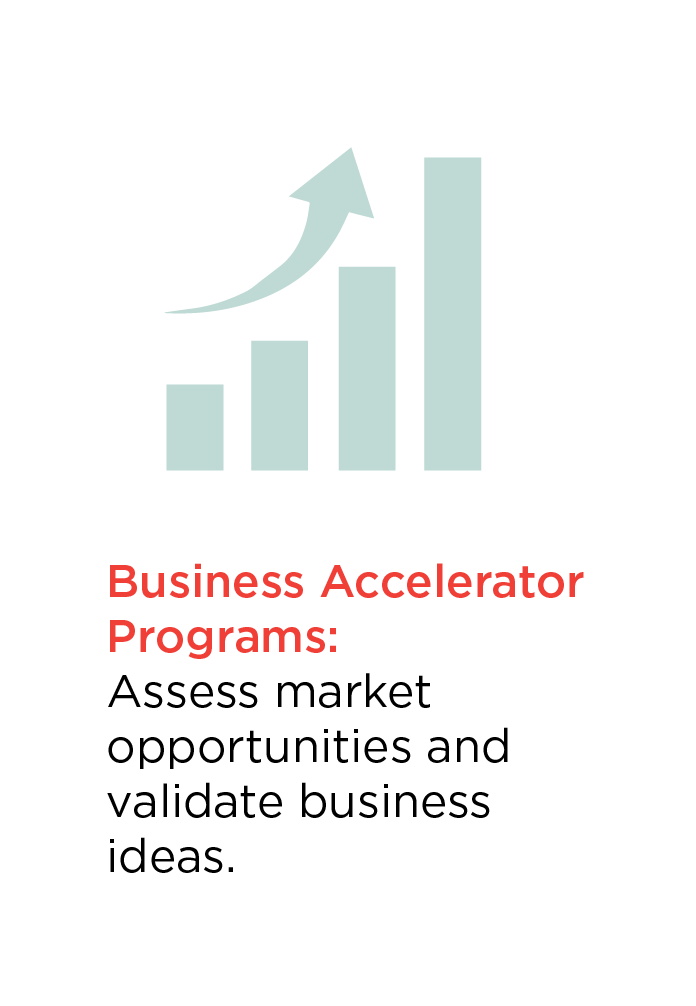 Business accelerator programs