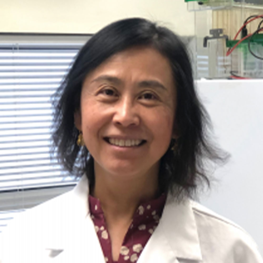 Yun Li