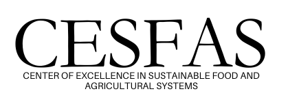 Black silhouette of a cat sitting with an arched back, suggesting a curious or playful demeanor.