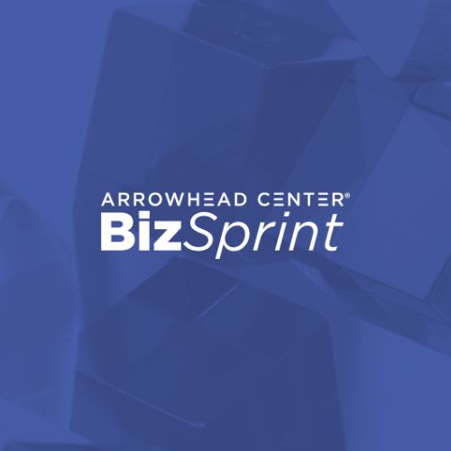 bizsprint