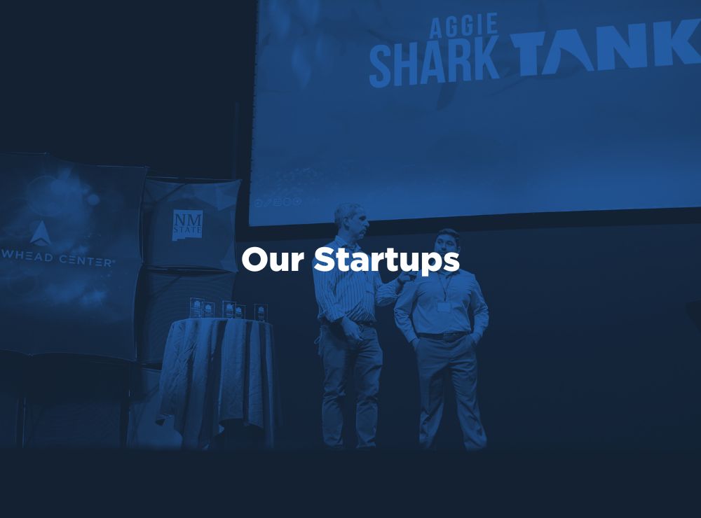 Our Startups