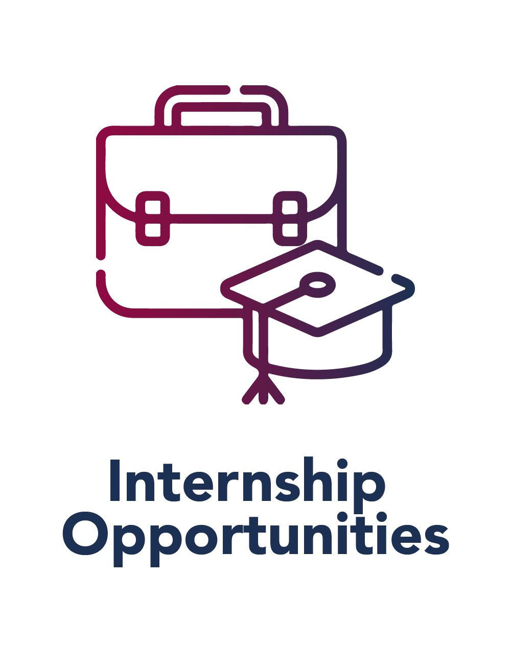 Internship Opportunities