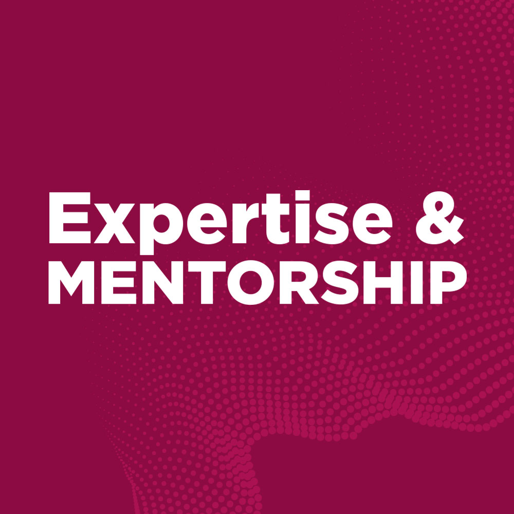 expertise-mentorship.jpg