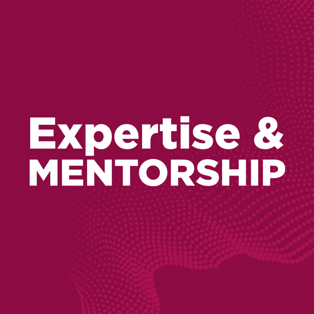 Expertise & Mentorship